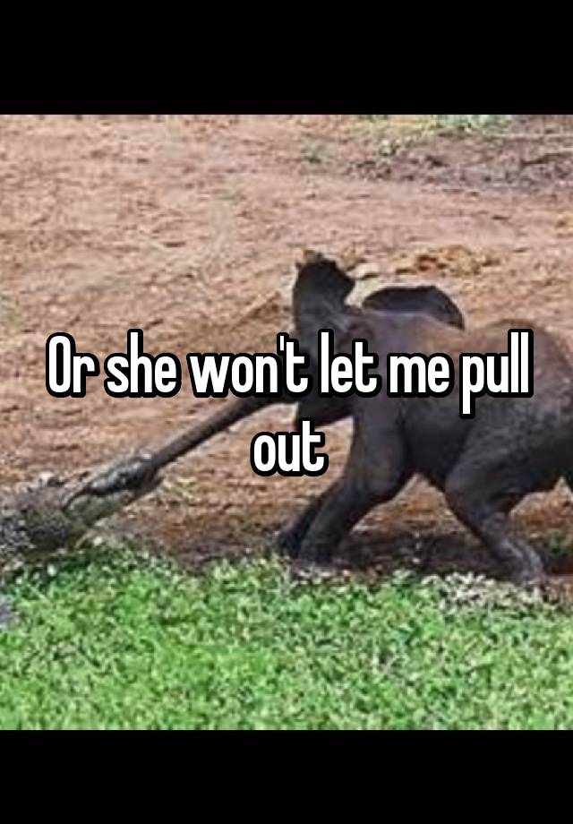 Won t let pull out